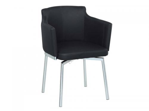 Modern Accent Chair (Black) ACDU002