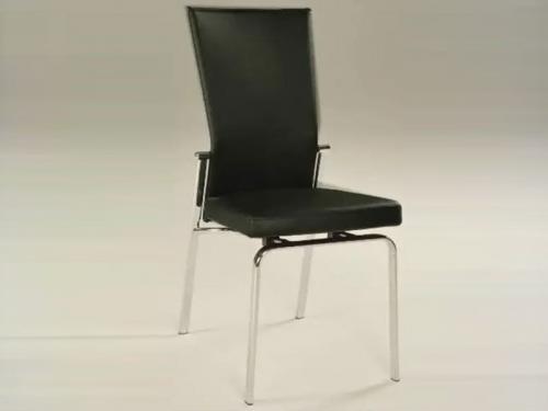 Modern Dining Chair (Black) DCMO126