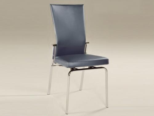 Modern Dining Chair (Grey) DCMO134