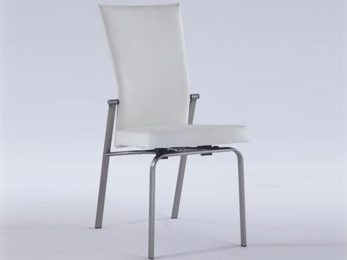 Modern Dining Chair DCMO139