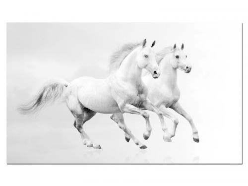 Modern Wall Decor HD53