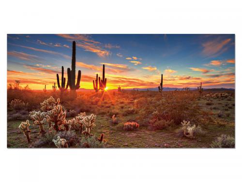 Modern Wall Decor HD55