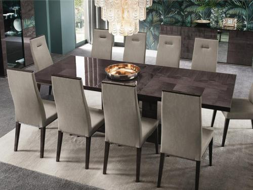 Modern Heritage Dining Chair Birch High Gloss 2 Chairs (Dark Velvet) DC001