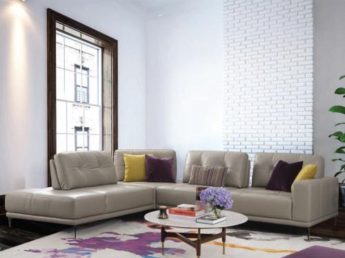 Modern Sectional  Leather Sofa SSHT010